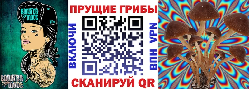 Псилоцибиновые грибы Magic Shrooms  Купить  Тында 